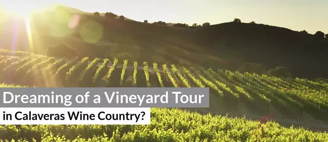 Calaveras Vineyard Tour – The Perfect Way to Explore the Great Outdoors