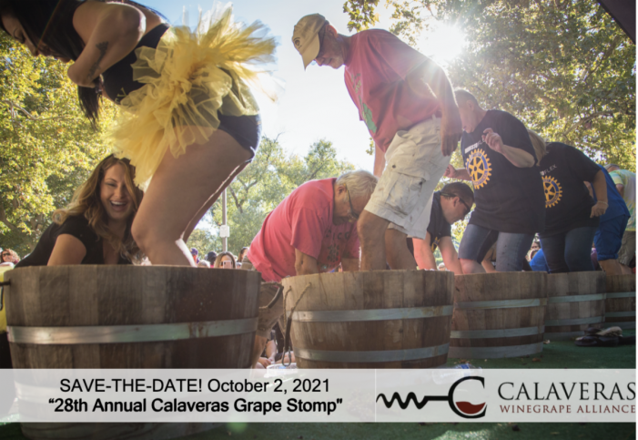 Join the CWA’s 28th Annual “Calaveras Grape Stomp” at Murphys Community Park!  (2019 Photos & Video Below)