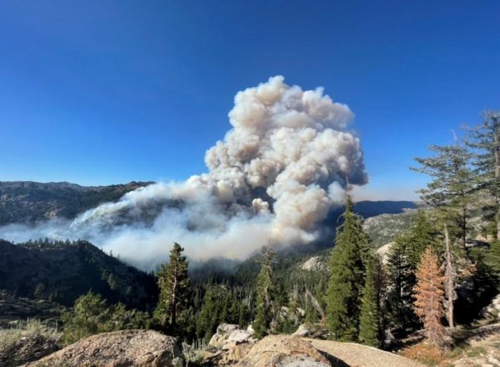 500 Acre Tamarack Fire Forces Evacuation Orders for Markleeville Area