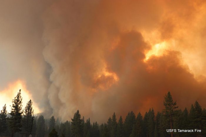 Tamarack Fire Burns Its Way to 21,000 Acres, O% Contained, 2 Structures Lost, Evacuation Center Moved to Nevada