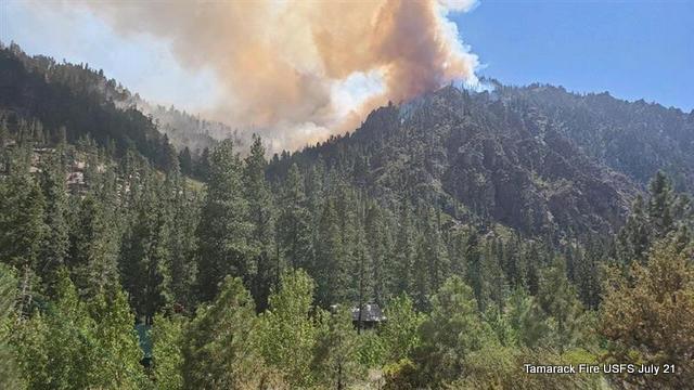 Tamarack Fire July 21 Evening Update.  43,900 Acres, 1,213 Souls Fighting the Fire