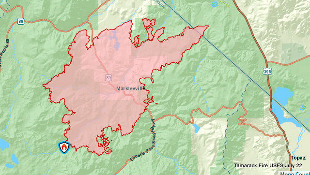 Tamarack Fire July 22 Morning Update. 50,129 Acres, 4% Containment, 1,213 Personnel on Fire