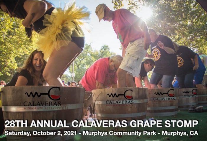 The 28th Annual Calaveras Grape Stomp is back at Murphys Community Park