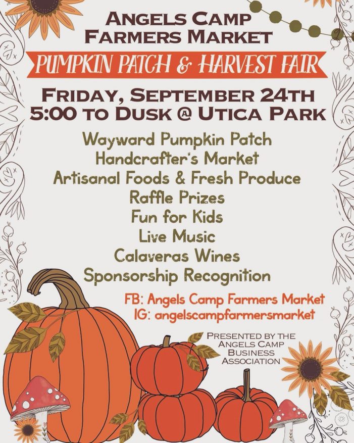 Pumpkin Patch, Harvest Fair & Final Angels Camp Farmers Market of Season Tonight!!