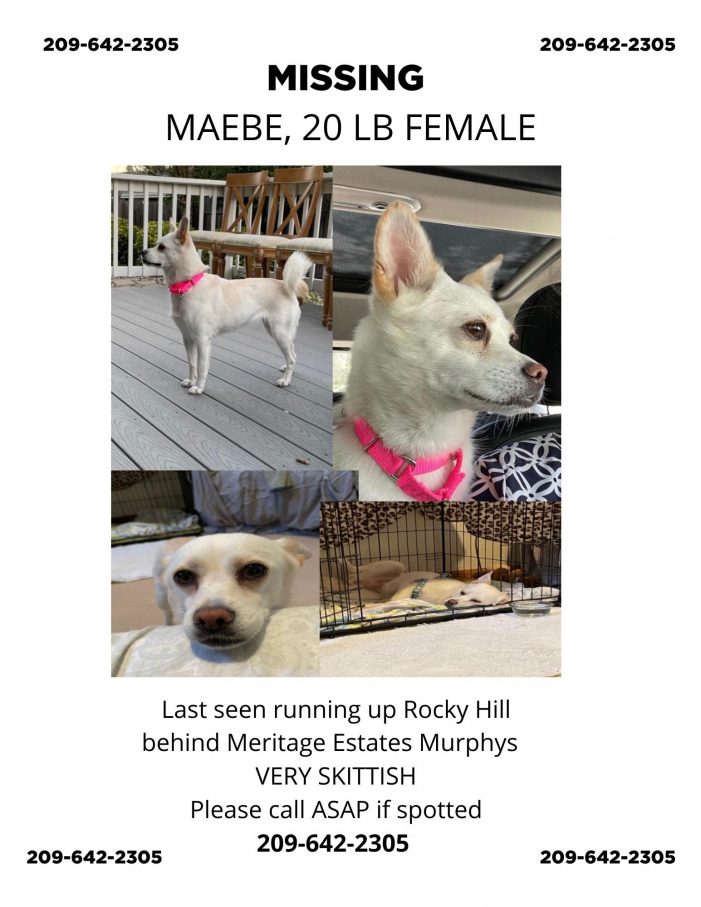Maebe Is Missing!  Help Maebe Return Home!  $500 Reward Now Offered for Safe Return!