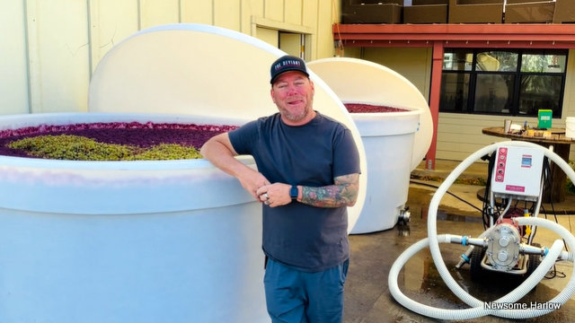 A Crushin’ Report from Newsome Harlow Wines