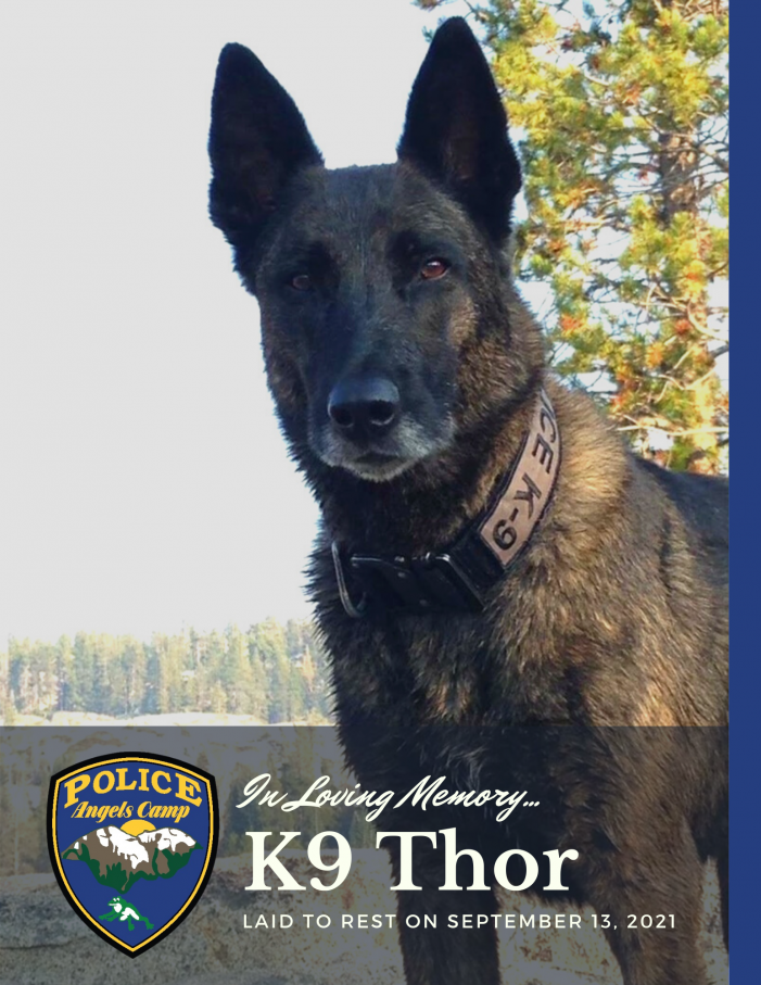 Angels Camp Police Department Mourns the Passing of Retired K9 Thor
