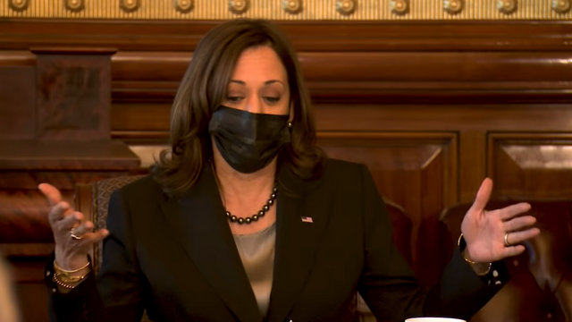 Vice President Harris During a Meeting on Climate Change