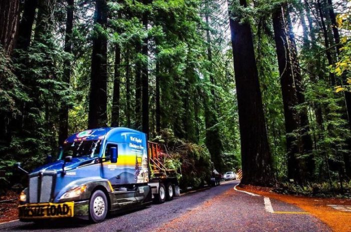 Follow the 2021 U.S. Capitol Christmas Tree from California to Washington DC (Including Sonora on November 3rd)