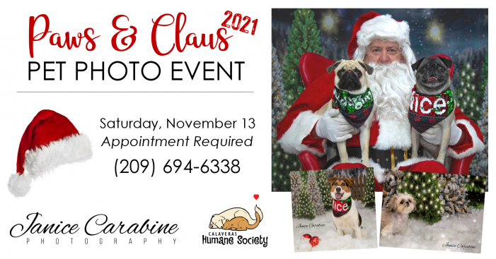 Book Your Appointment Now for Calaveras Humane Society‘s Paws & Claus 2021
