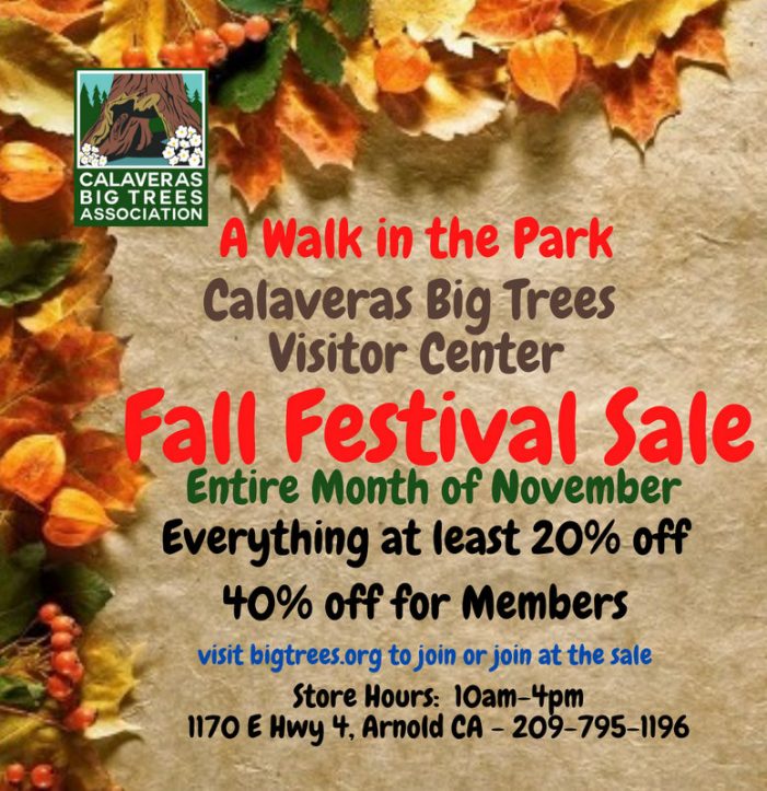 Do Your Holiday Shopping at Big Trees State Park & Save!!!