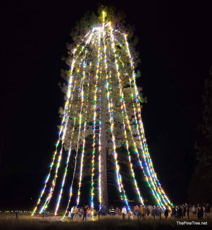 The 2021 Avery Christmas Tree Lighting