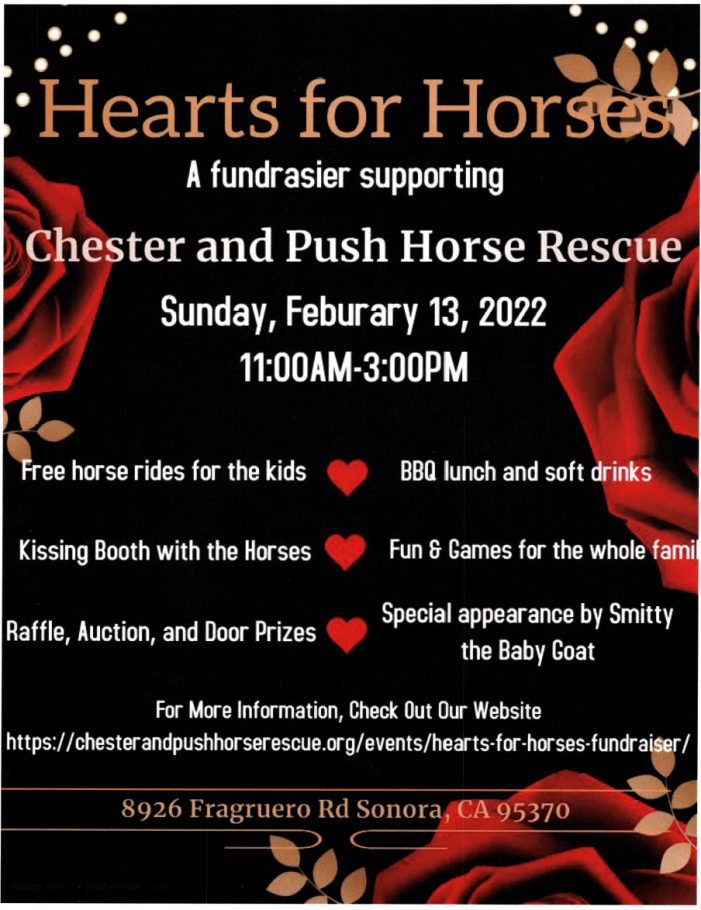 Hearts for Horses Fundraiser for Chester & Push Horse Rescue!