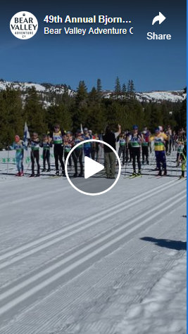 A Beary Good Day at the 49th Annual Bjornloppet in Bear Valley