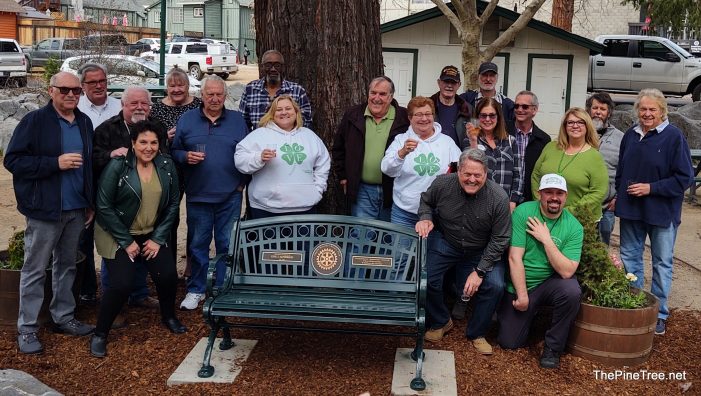 A Throne Fit for a King!  Angels-Murphys Rotary Unveils the King J. McPherson Bench