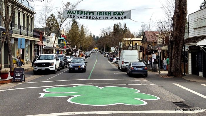 The Shamrocks are Green & Murphys is Ready for Irish Day!