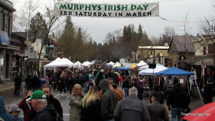 Murphys Irish Day 2022 Returned Better Than Ever After Covid Slumber!  Over 200 Photos & Full Parade Video