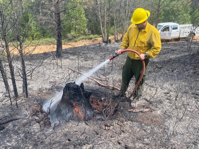 USFS Firefighters Make Quick Work of the 67 Acre Pine Fire
