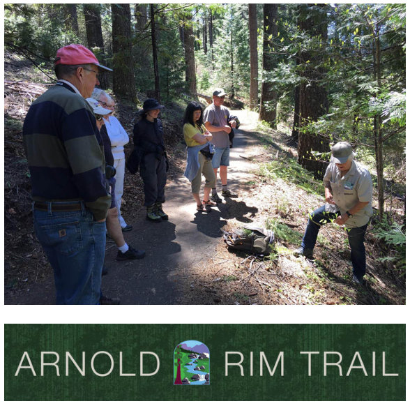Guided Nature Walk on The Arnold Rim Trail: Get to Know Your Conifers