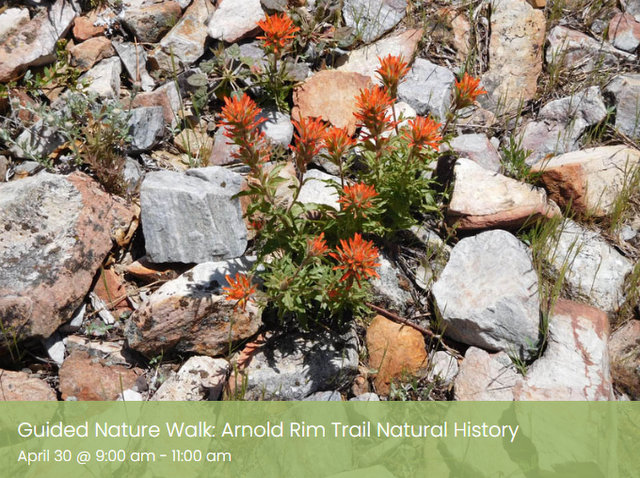 Guided Nature Walk: Arnold Rim Trail Natural History April 30 @ 9:00 am – 11:00 am