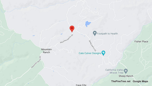 Traffic & Canine Update…..Small White Fluffy Dog in Roadway Near Mountain Ranch Rd / Sheep Ranch Rd