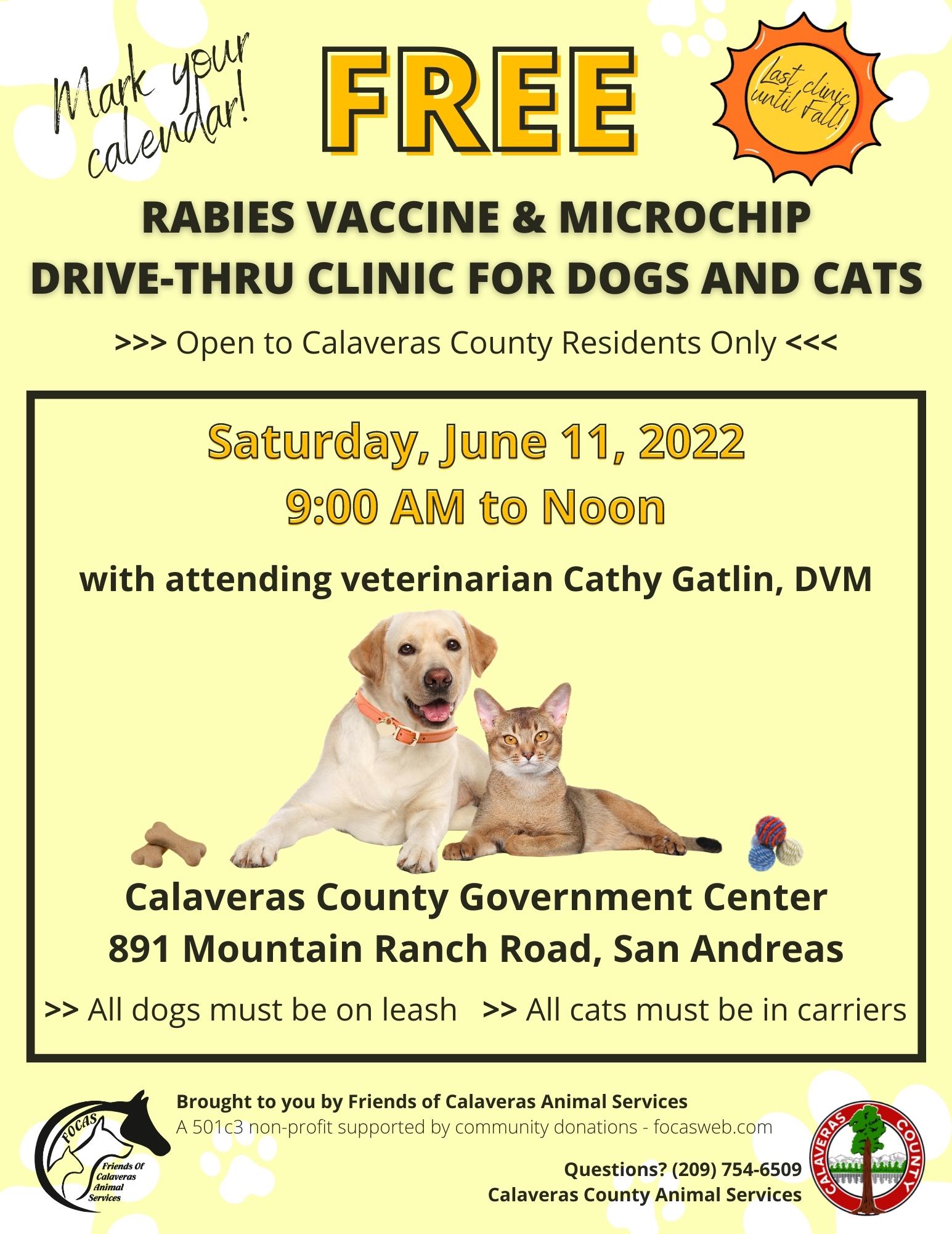 FREE Dog and Cat Rabies Vaccination & Microchipping Clinic - The Pine Tree
