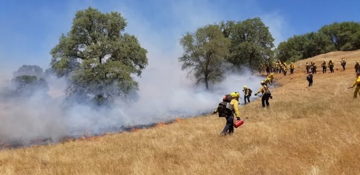 Live Training Burn Planned on The Bacchi Ranch VMP