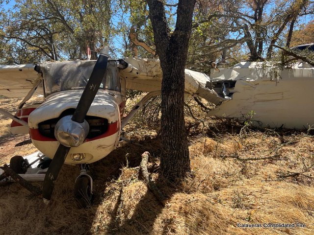 No Injuries in Aircraft Off Runway & Into the Trees