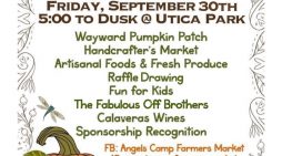 Don’t Miss the Angels Camp Farmers Market, Pumpkin Patch & Harvest Fair