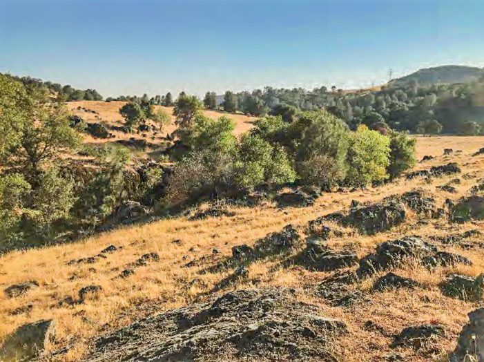 California Rangeland Trust Partners with CalTrans and County of Calaveras to Conserve Critical Rangeland and Create and Restore Riparian Habitat on the Rana Ranch