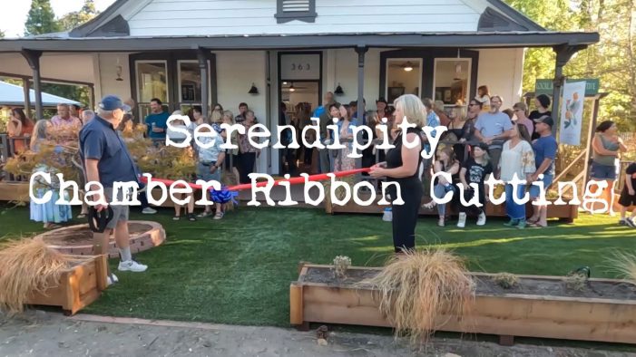 The Business Community Celebrated Serendipity at their Ribbon Cutting!