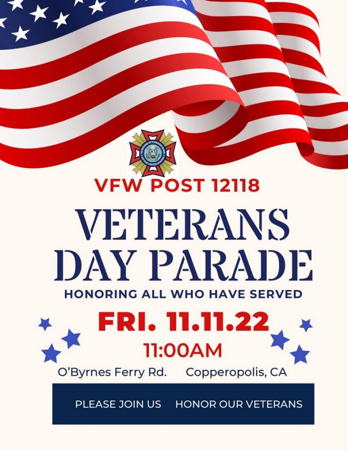 VFW Post 12118 is hosting a Veterans Day Parade on Friday, November 11, 2022, from 10:30 AM to 12:00 PM
