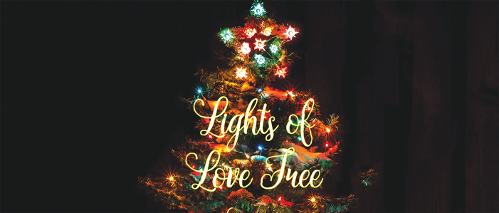 Mark Twain Medical Center Foundation Lights of Love Tree Lighting Live at 5:30pm