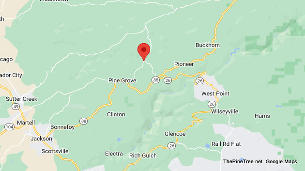 Traffic & Bovine Update….Brown & White Cow Out Near Pine Grove Volcano Rd / Volcano Pioneer Rd