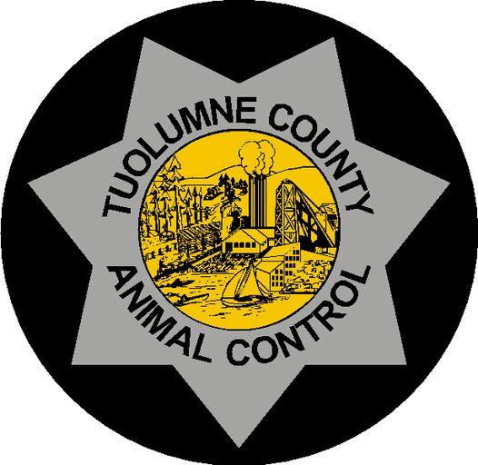 Distemper Found in Tuolumne County
