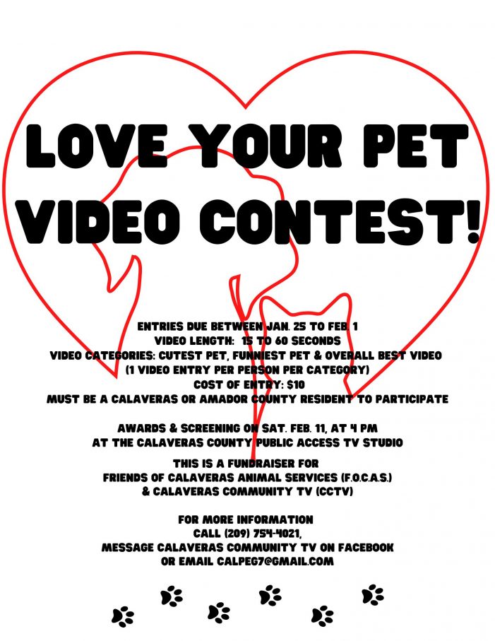 Love Your Pet Video Contest