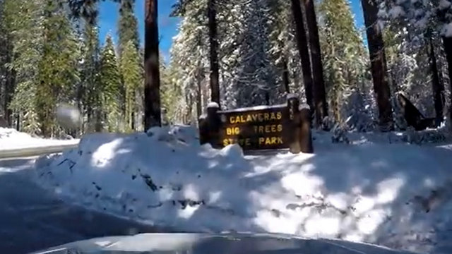 Take a Winter Drive to Big Trees State Park with Sandi Pearce from Sierra Sentry.