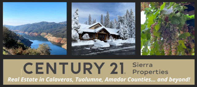 Century 21 Sierra Properties is Ready to Serve You!