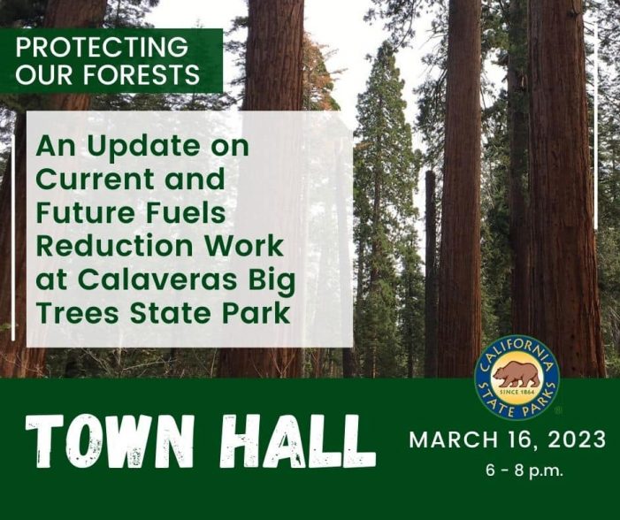 California State Parks to Hold Town Hall Meeting on Calaveras Big Trees State Park’s Forest Management Plan