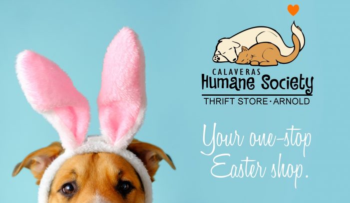 CHS Thrift Arnold Your One-Stop Easter Shop!