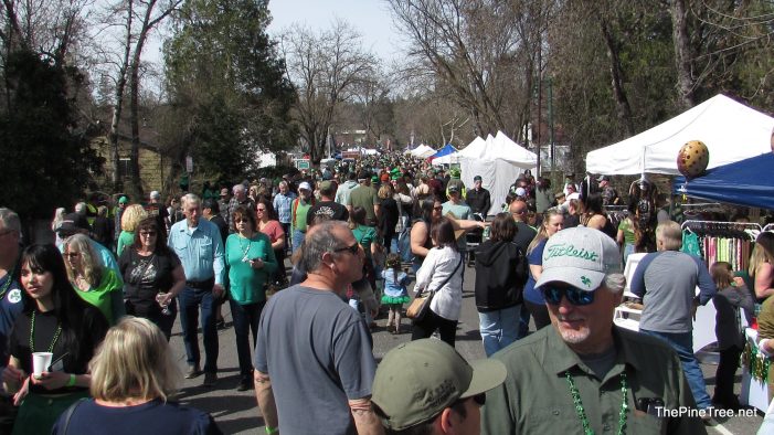 Irish Day 2023 Photos & Video Going Up Today!