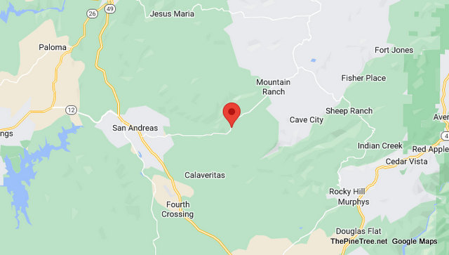 Mountain Ranch Road above San Andreas Closed for Emergency Tree Work/Power Lines