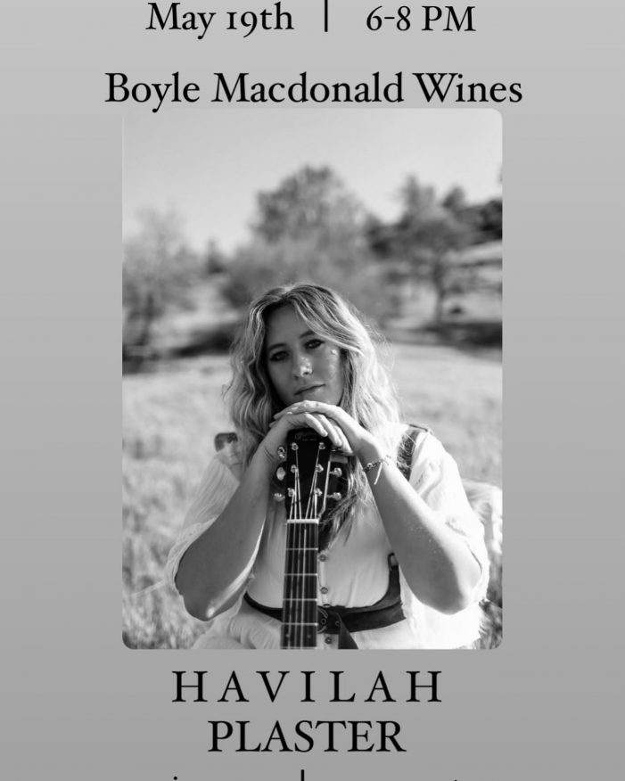 Havilah Plaster at Boyle MacDonald Wines