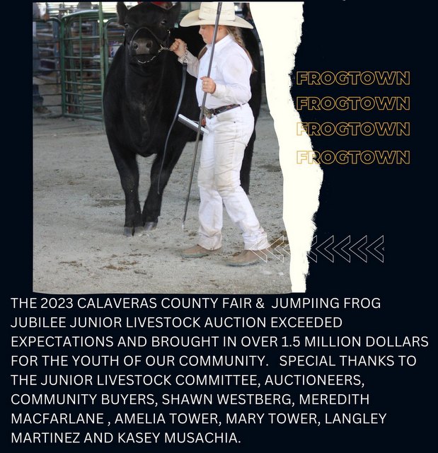 2023 Calaveras County Fair & Jumping Frog Jubilee Junior Livestock Auction Brought in Over 1.5 Million Dollars!