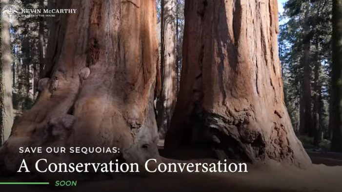 Rep. McClintock, Speaker McCarthy and Bipartisan Coalition Reintroduce the Save Our Sequoias Act