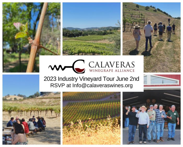 Join The Calaveras Winegrape Alliance on June 2, for Their Annual Wine Industry Vineyard Tour