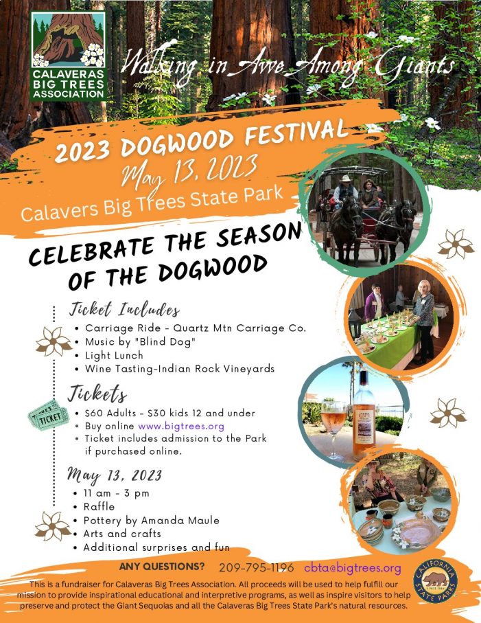 2023 Dogwood Festival