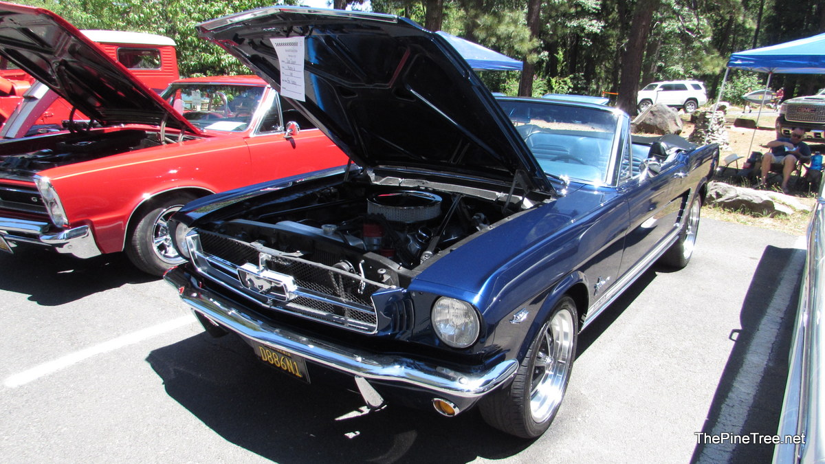 ArnoldCarShow23 (24)