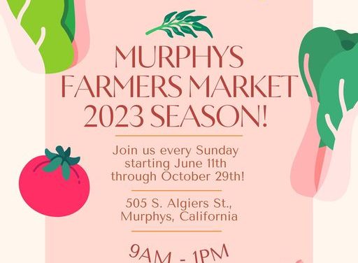 The Murphys Farmers Market
