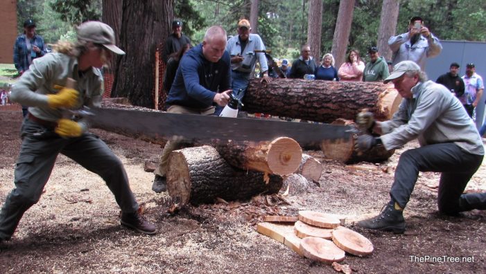 The 2023 Friends of Sierra Nevada Logging Museum’s Annual Logging Jamboree Photos & Video